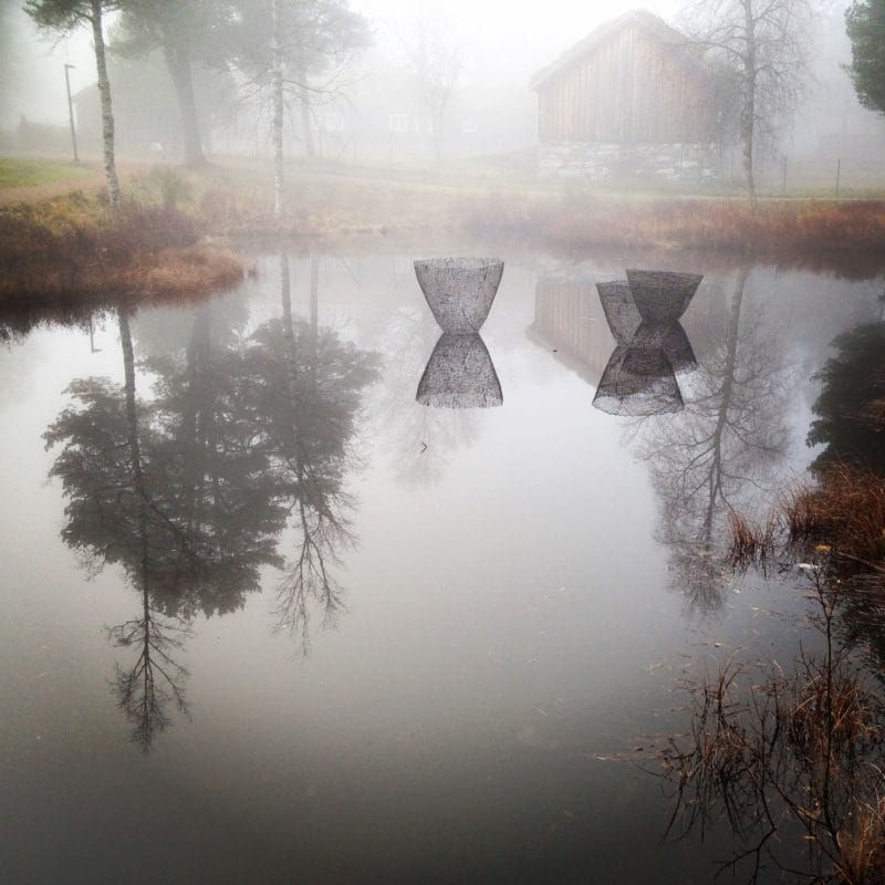 “Ultima” in the fog 2019  PhotoGjertrud Hals, copyright Gjertrud Hals