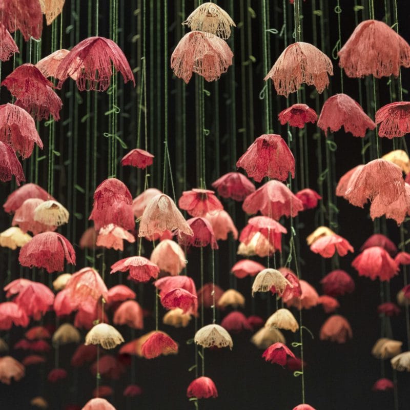 “Poppies”, 2018 – Ongoing, 12’ x 40” x 30”, Thread, Machine Embroidery, Gallery Stratford, Stratford, Ontario, Photo Cheryl Rondeau, copyright Amanda McCavour