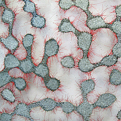 “Untitled-detail”, 2013, horsehair, fabric- 96 x 100 cm, copyright Marian Bijlenga