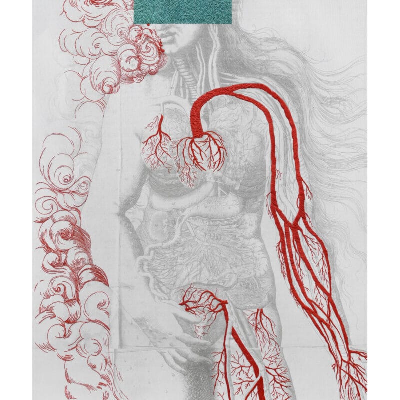 “Venus”, 2015, 130x83 cm, copyright Ana Seggiaro
