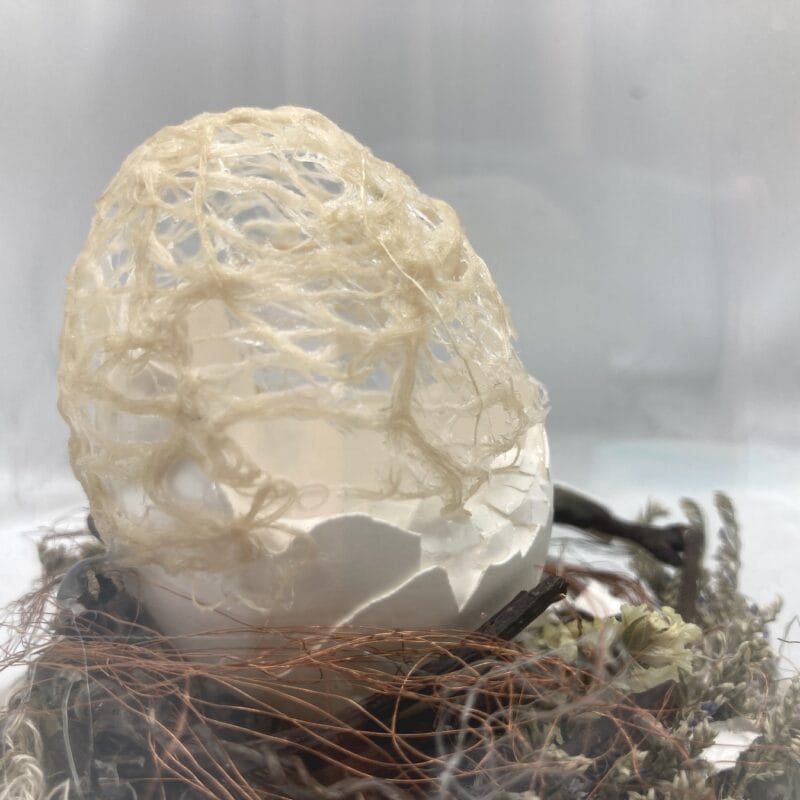 Davide Viggiano “INNESTO” assemblaggio di fibre vegetali, legno, fili di rame, sintetici, guscio d'uovo in capsula, cm 11x19x11, 2020
