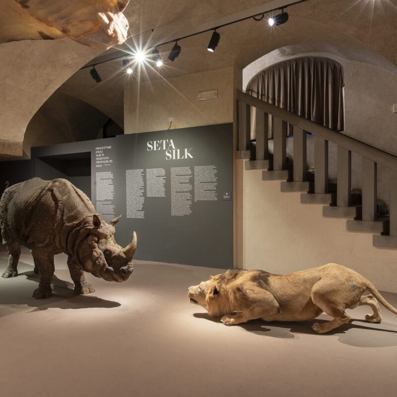 Museo Salvatore Ferragamo - Section 1 | Sun Yuan & Peng Yu, Rhino, 2012, fiberglass sculpture. The work is part of the installation I Dind’t Notice What I am Doing, 2012.
Courtesy of Sun Yuan & Peng Yu and GALLERIA CONTINUA