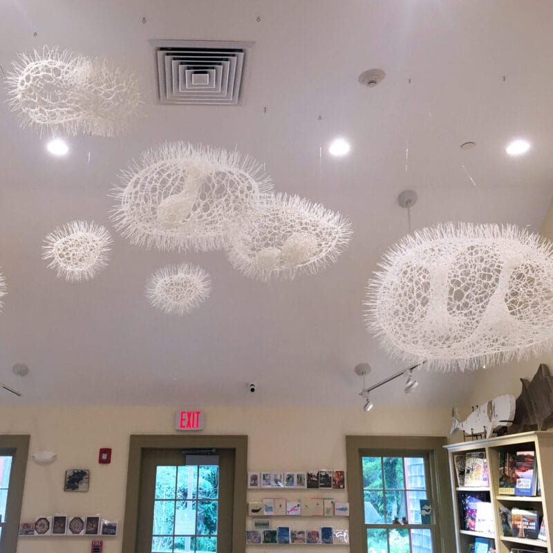 Sui Park, Thought Bubbles in the Atrium, 2014, 7 pieces in various sizes, Cable Ties
