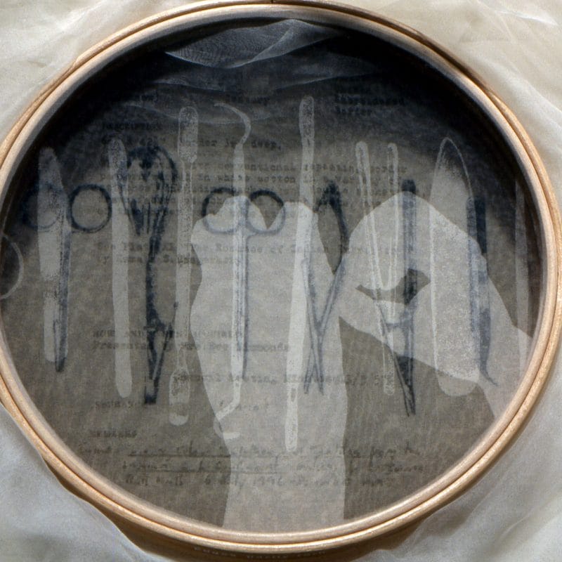 "Conversation Pieces-detail", 2003, Wooden embroidery hoops, silk crepeline, wool, linen tape, printed, stitched, 272cm x 74cm x 5cm, ph. cr. G10, Collection of the Whitworth Art Gallery, copyright Caterine Bartlett