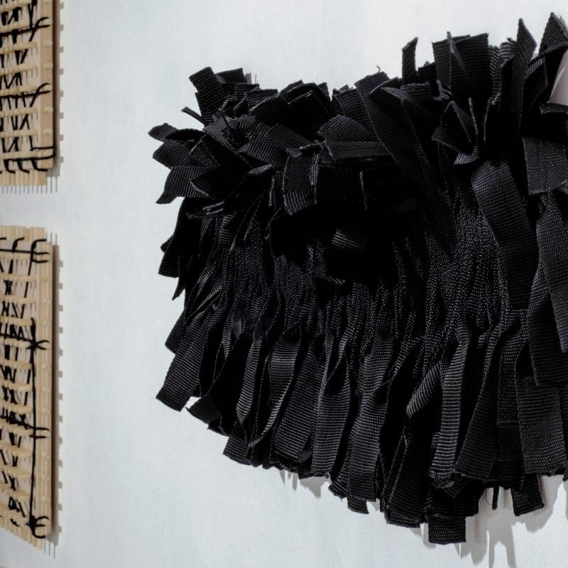 “Alaïa”, 2018, nylon and cotton, 30 x 87 cm, ph. cr. Julio Osorio, copyright Isabel Cisneros