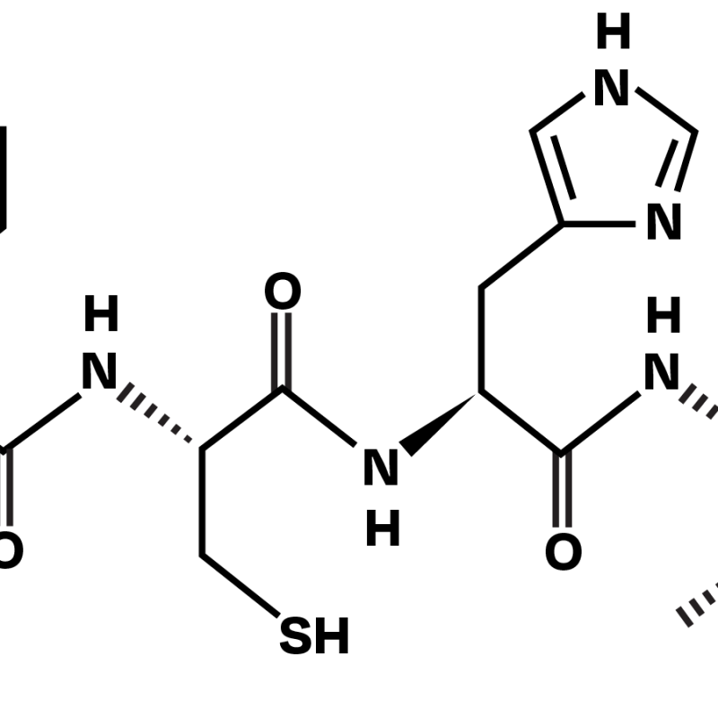 Pichia- polypeptide chain title