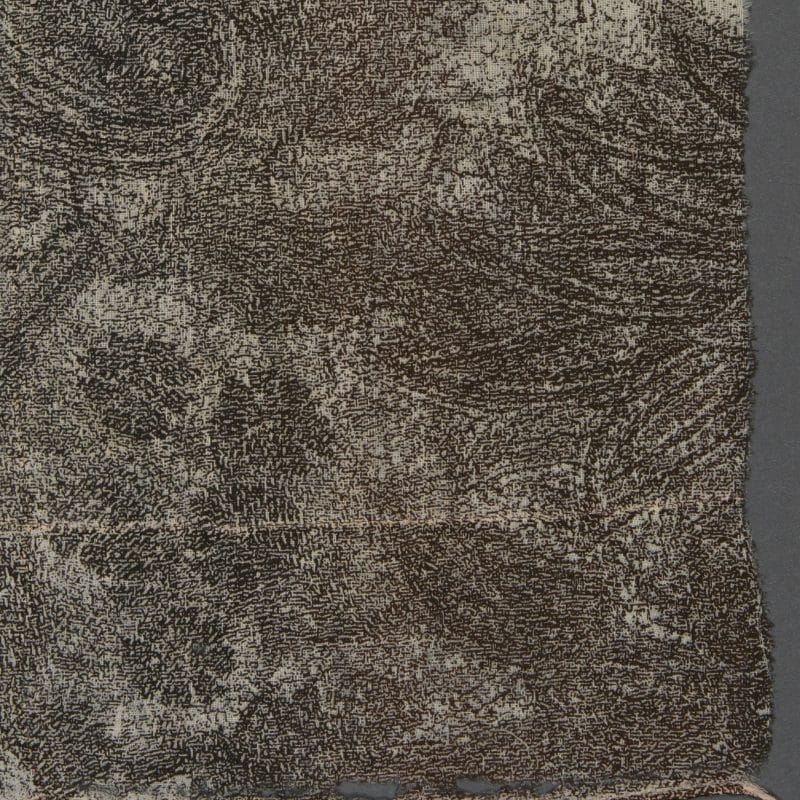 Paisley Redux Chiffon-detail,  2014.  11” x 9.5.”  Vintage silk chiffon garment fragment, photo-silkscreen. Photo Credit:  Polly Whitethorn, copyright Camilla Brent Pearce