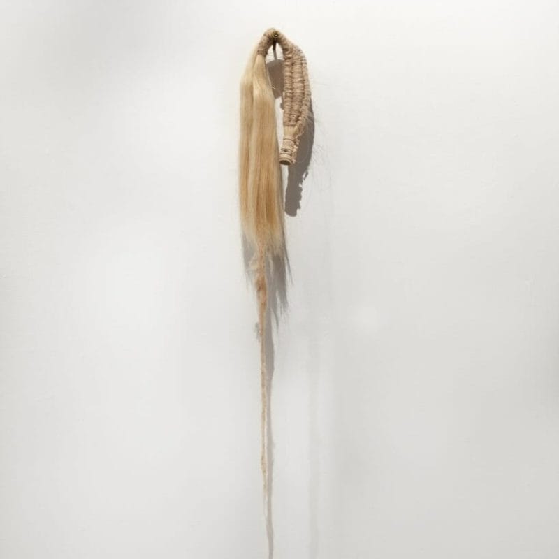 Remains of the Ephemeral III, horsehair and hand-dyed unspun wool, 2014. Photo credit: Thomas Blanchard, copyright Mary Grisey