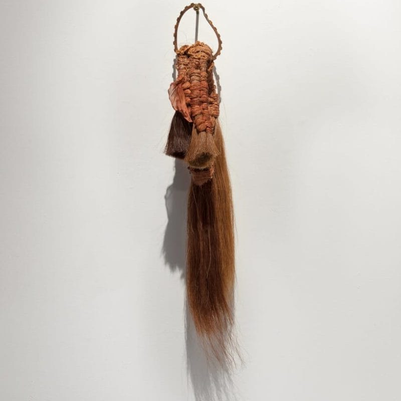 Remains of the Ephemeral IV, horsehair, hand-dyed raw silk and cotton, rubber latex and rusted steel, 2014. Photo credit: Thomas Blanchard, copyright Mary Grisey