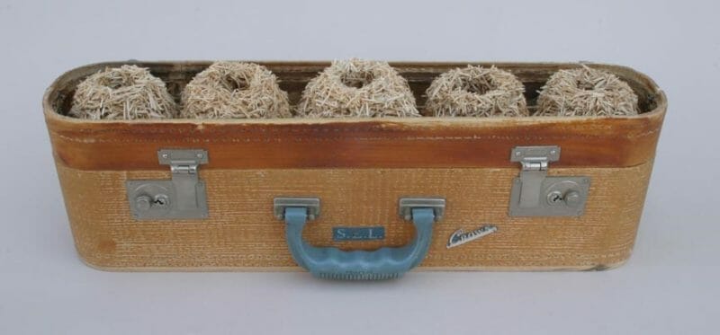 Nestbox by Robert Lach. Courtesy Ivy Brown Gallery